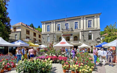 Premio alla “Festa delle Rose” di Busalla